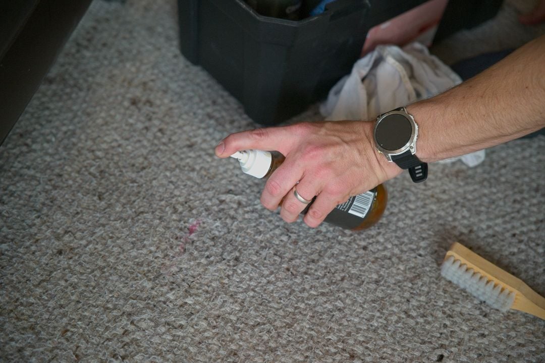 Spot Clean 2